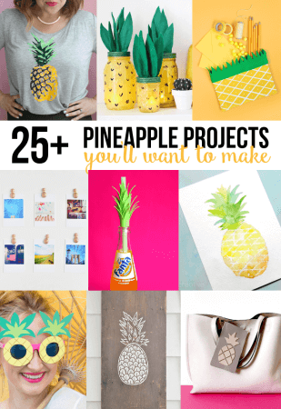 http://persialou.com/wp-content/uploads/2015/08/pineapple-projects-309x450.png