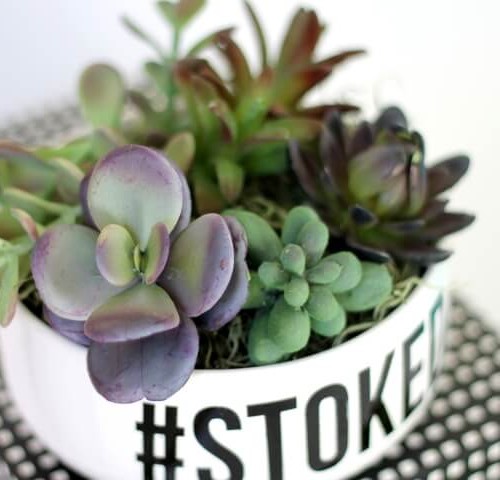 Make your own simple typographical succulent planter - so simple with faux succulents! Customize with a word or phrase.