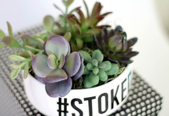 Make your own simple typographical succulent planter - so simple with faux succulents! Customize with a word or phrase.