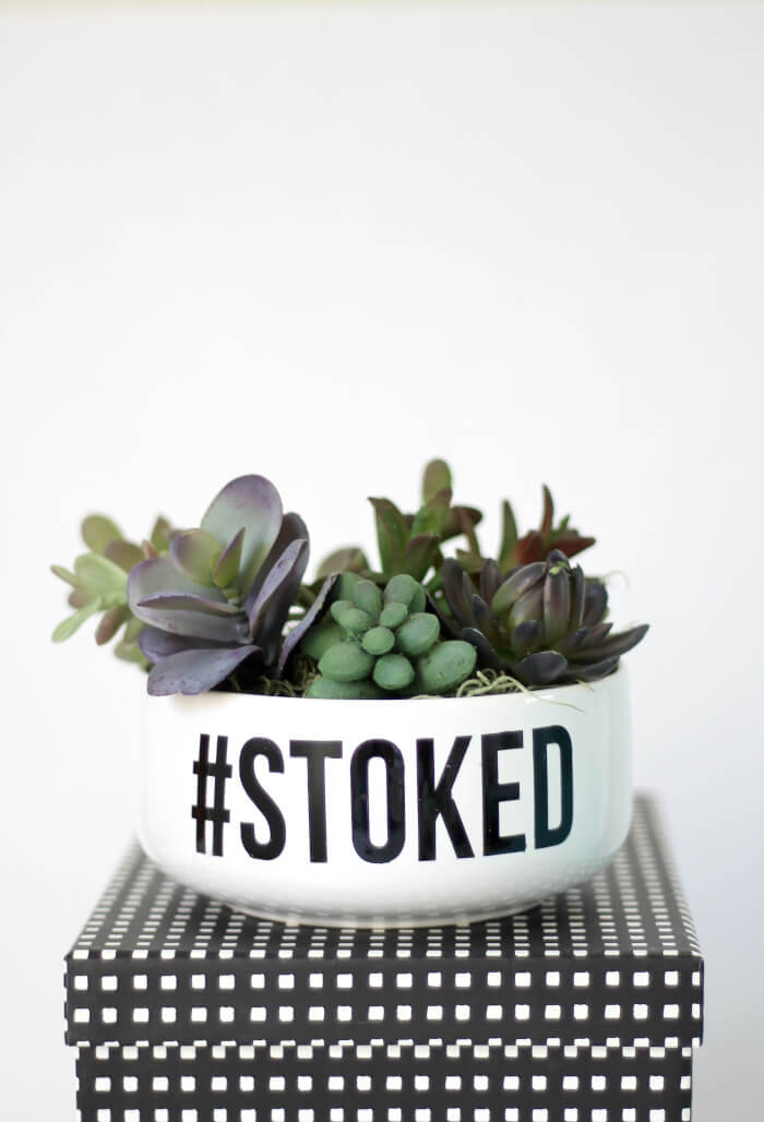 Make your own simple typographical succulent planter - so simple with faux succulents! Customize with a word or phrase.
