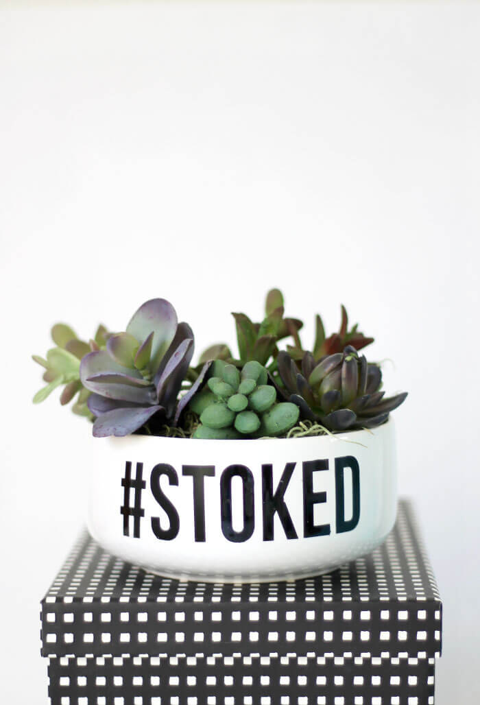 simple succulent planter DIY - stoked