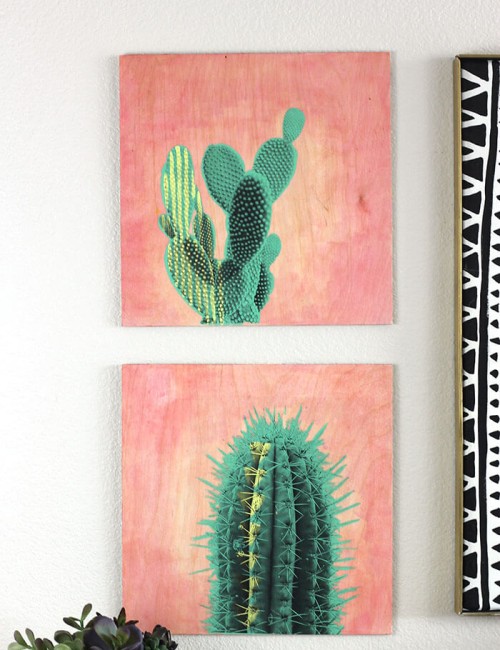 make your own photo transfer art on wood - cactus on pink