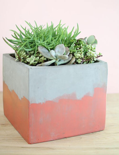 DIY Stained Concrete Planter - add color to concrete without having to seal!