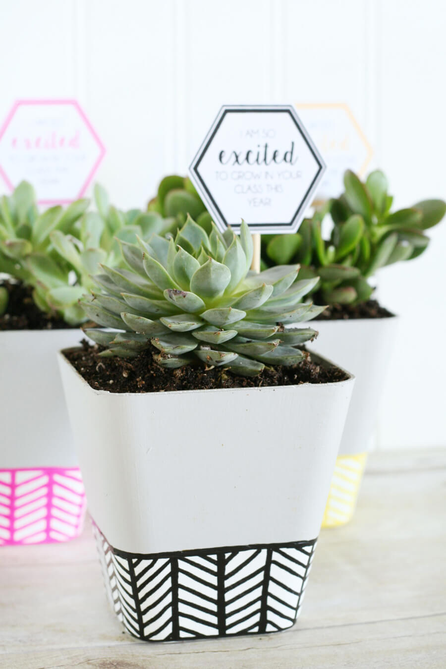 Faux-Concrete-Planters-8
