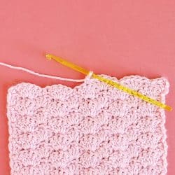 crochet shell stitch