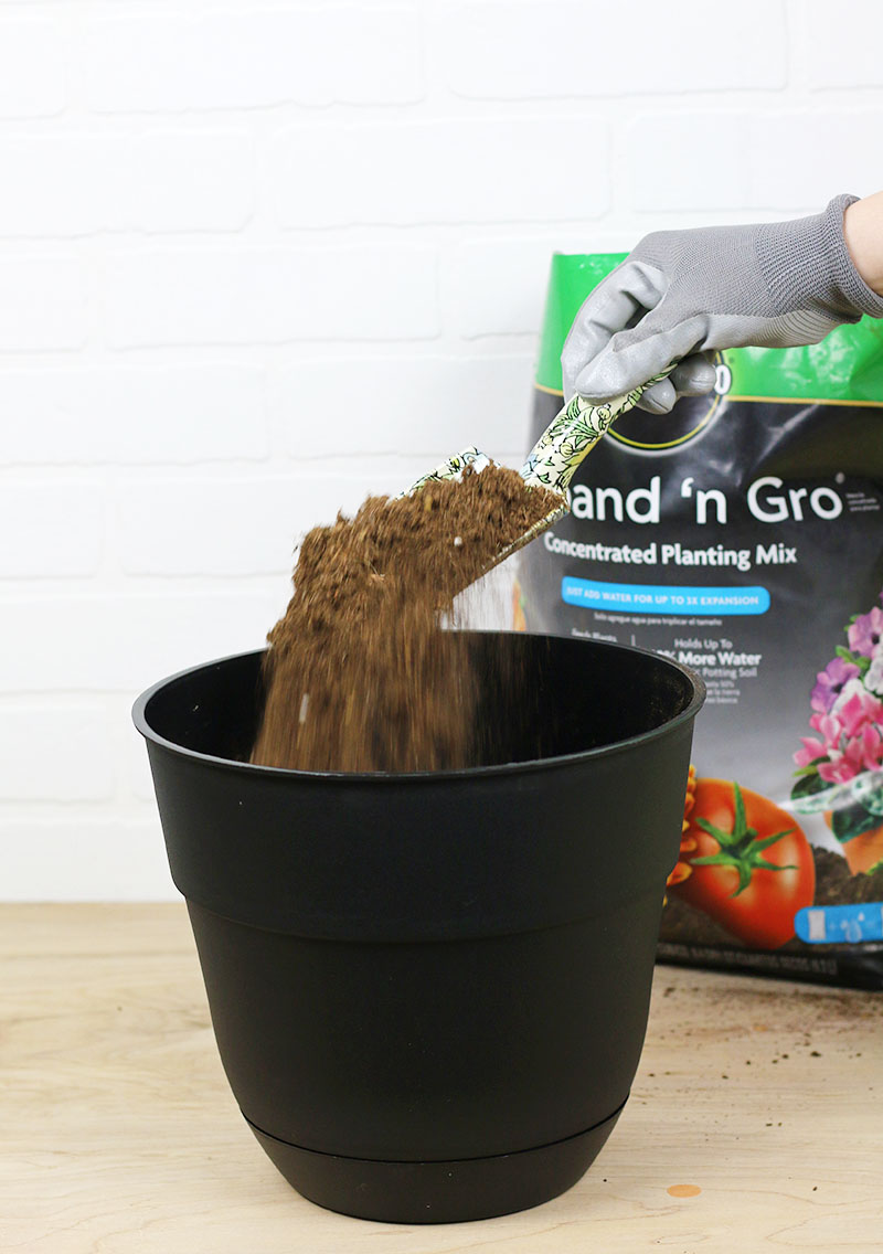 fill with soil