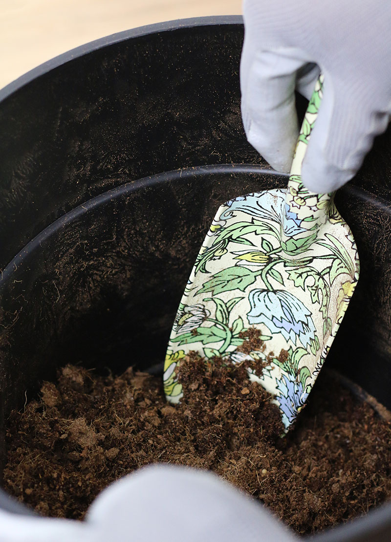 mix potting soil