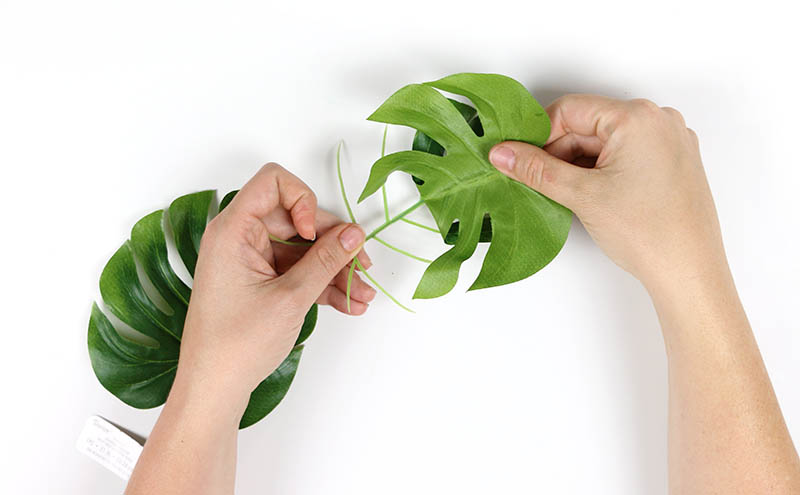 take off leaves