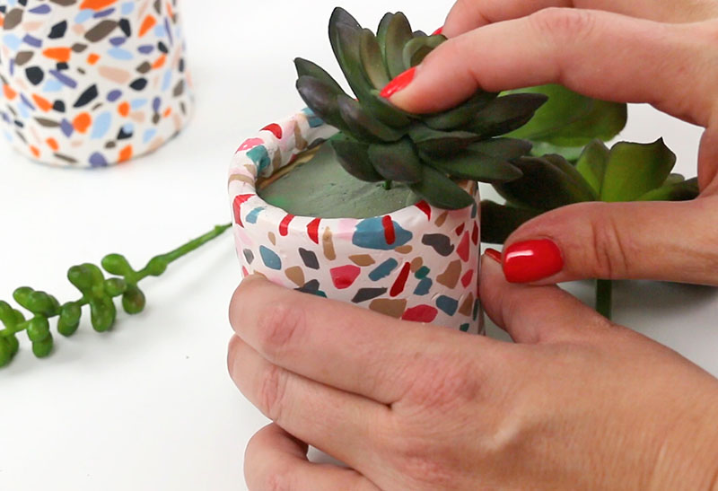 diy terrazzo planter with succulents