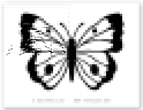 Cute Black and White Butterfly Coloring Page Printable