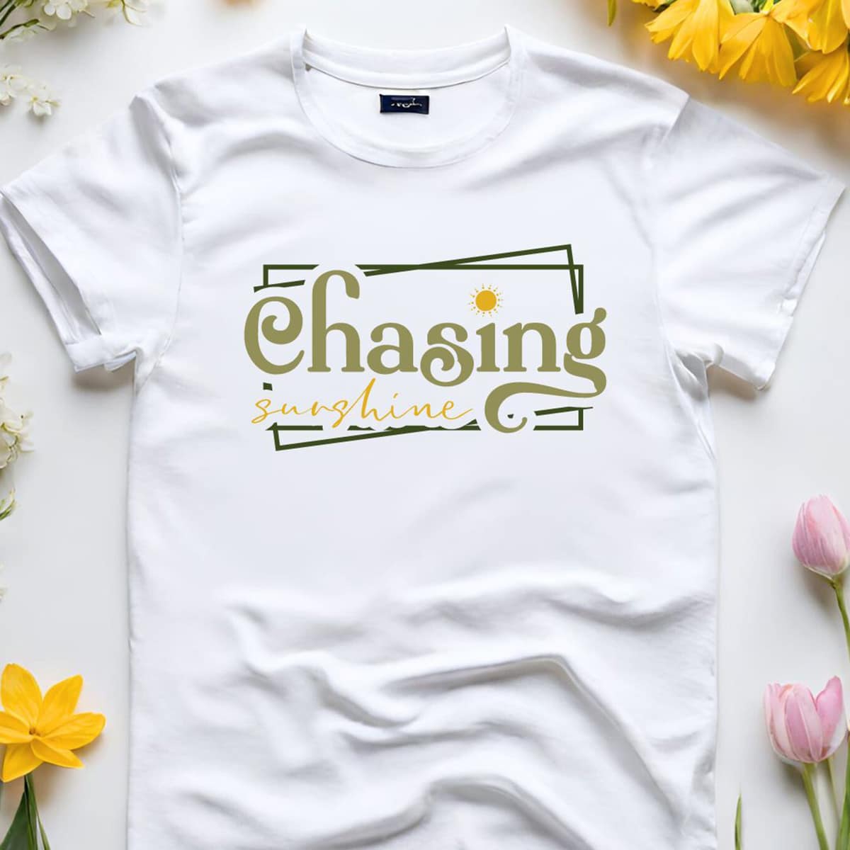 Image for Chasing Sunshine